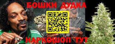 индика Рязань