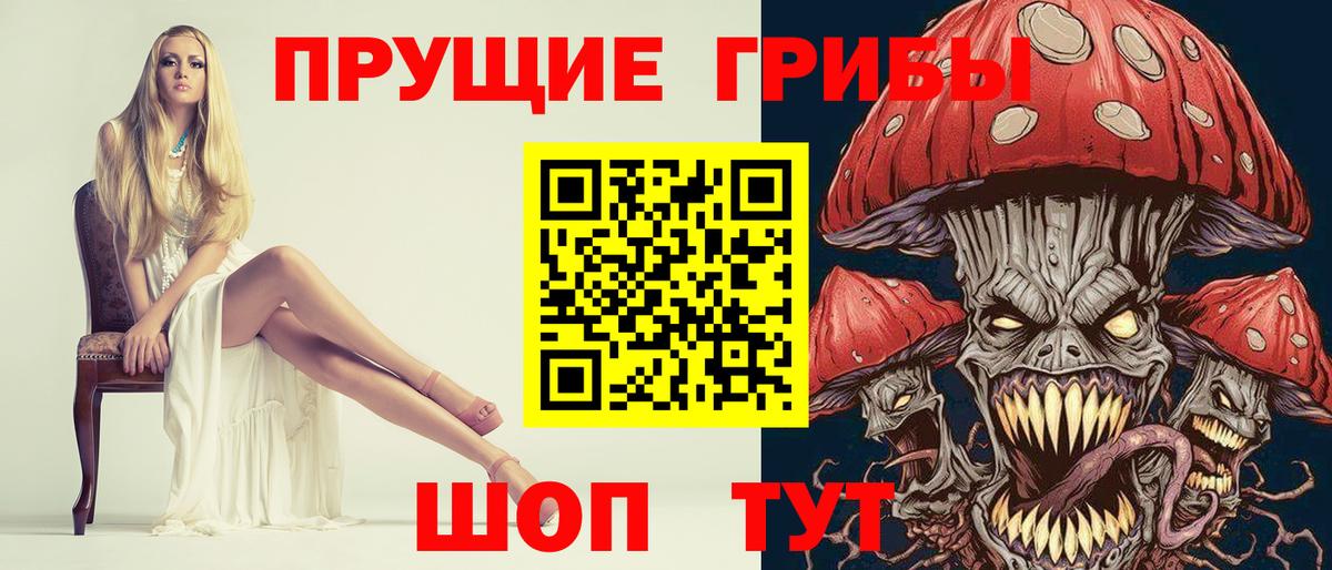 Псилоцибиновые грибы Psilocybe  Вход с VPN  Отрадное  Псилоцибиновые грибы Cubensis 
