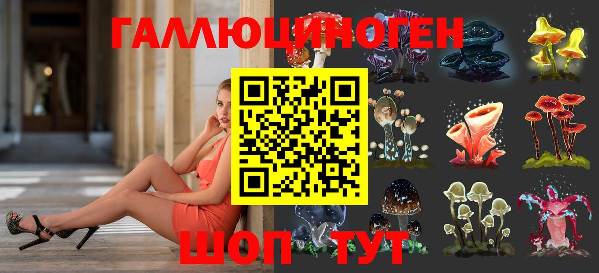 Галлюциногенные грибы MAGIC MUSHROOMS Отрадное