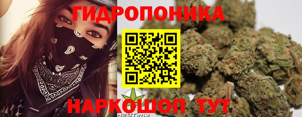 Шишки марихуана Bruce Banner  Бошки Шишки OG Kush  Вход с VPN  МАРИХУАНА ГИДРОПОН  Бошки марихуана White Widow  Отрадное 